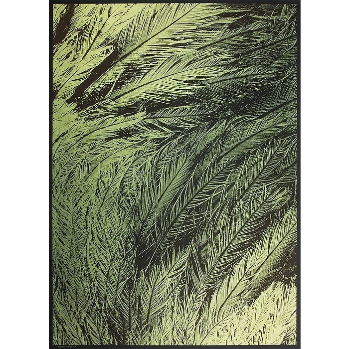 Paper Peacock Feather